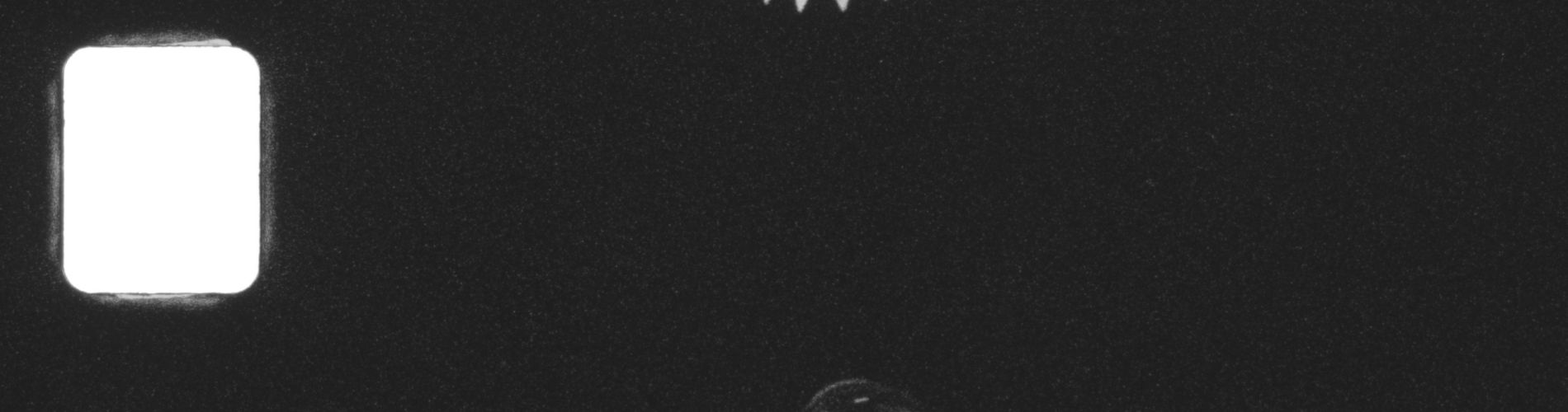 13 Eggs
