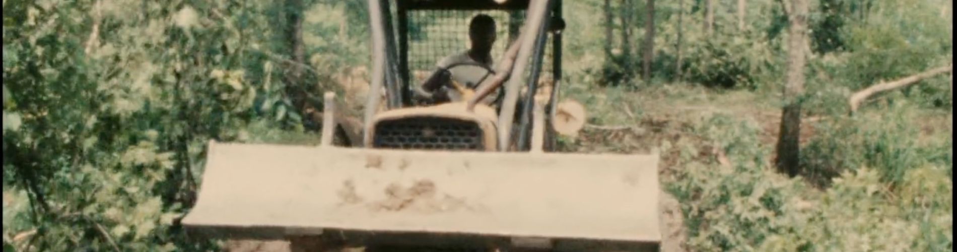 Woodcutters of the Deep South