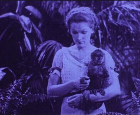 Rose Hobart