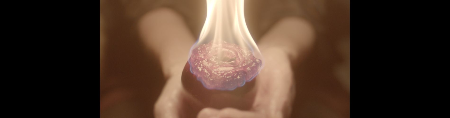 I Was Made From Burning Apples