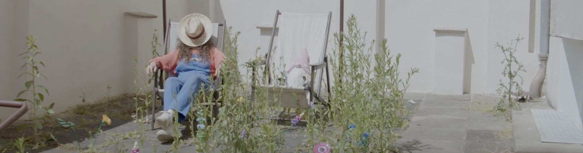 We Used to Have a Garden