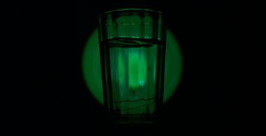 The Green Serpent – Of Vodka, Men and Distilled Dreams