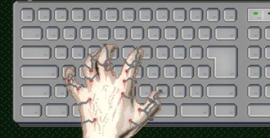 The Electronic Border