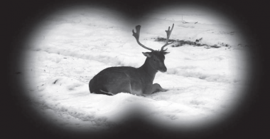 Long Live Hunting!
