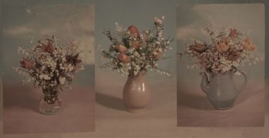 The Still Life of Vera