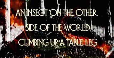 Adult Contemporary: Experimental Music Video 016