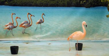 Nature: All Rights Reserved
