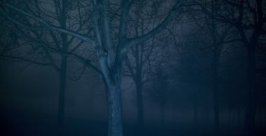 Dying for Beginners / The Key of Silence