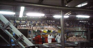 Czech Journal: The Limits of Work