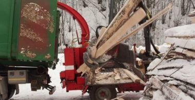 Don’t Give Up: Biomass Forever!