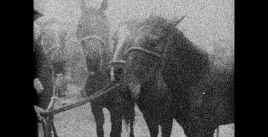 3 Dreams of Horses