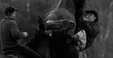 Horse Riders