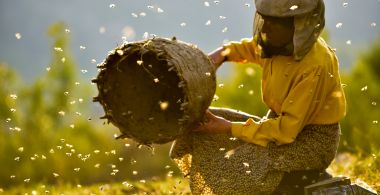 Honeyland