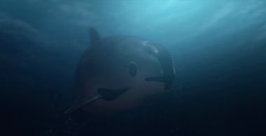 Sea of Shadows