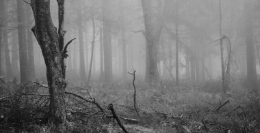 Requiem