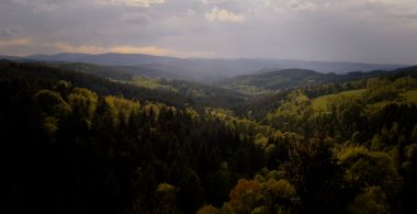 Kings of Šumava
