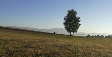 Pilgrimage to the Mountains