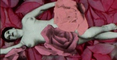 There is a garden in my head