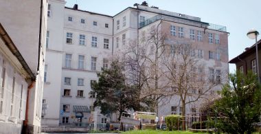 Hospitals in the First Line
