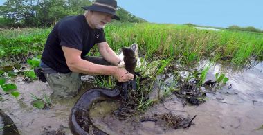 Anaconda – The End of the Myth?