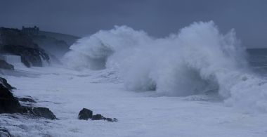 From the Wild Sea