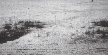 Alone With Snow