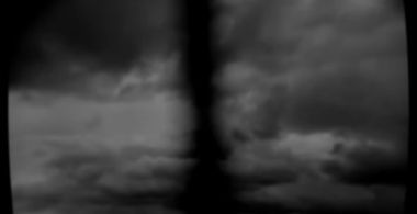 As the Crow Flies
