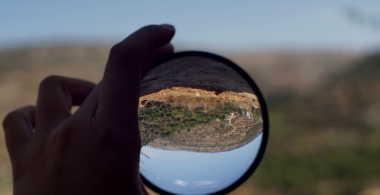 The Sun and the Looking Glass – for one easily forgets but the tree remembers