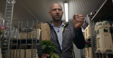 Nedej se: Květinová globalizace