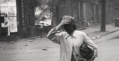 The Natural History of Destruction