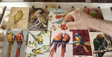 LANGUAGE OF THE BIRDS