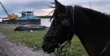 Postcard from Somova, Romania