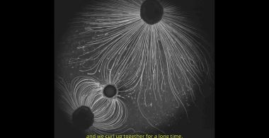 Microscopic Love