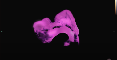 Wombs & Brains (Hm..fantasy)