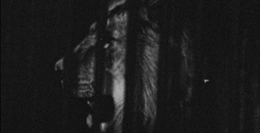 Marguerite Duras in the Lions' Den