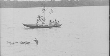 The Wonders of the Amazon