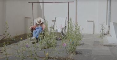 We Used to Have a Garden