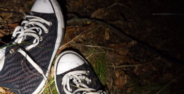 In the Dark