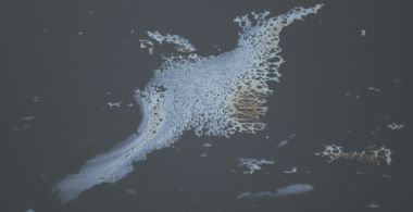 The Sadness of Anthropocene