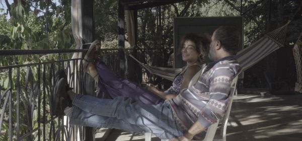 The cats, the sea, and everything in between.