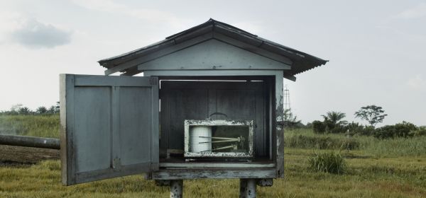 The Tree of Authenticity