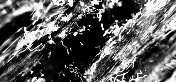 monolithic tenderness