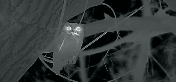 Hypervision