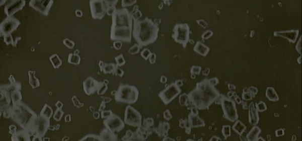 Foodfilms