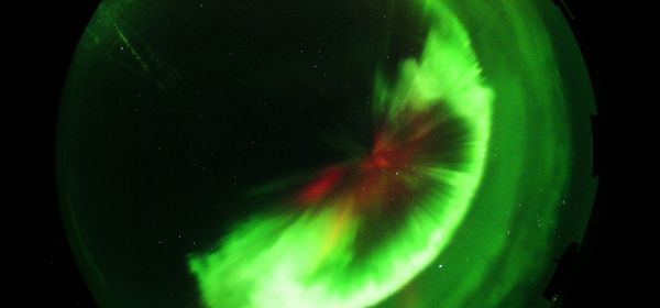 The Blood of Stars