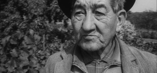 People under Pálava