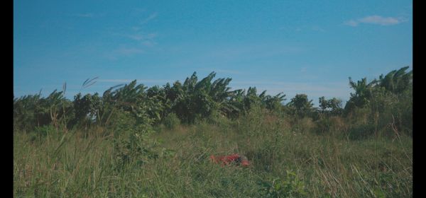 A bike, a plane and a cart