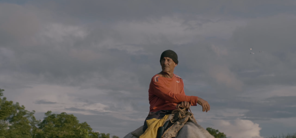 And the storm dreamed of horses