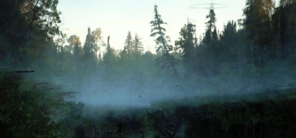 While the Green Grass Grows: A Diary in Seven Parts (parts 1–4)
