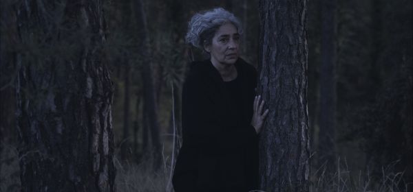 Gaulana
